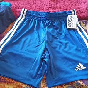 Adidas Men's Royal Blue Sports Shorts